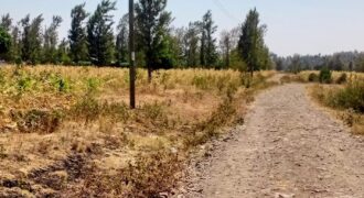 Prime Half Acre Lot for Sale in Kangangu