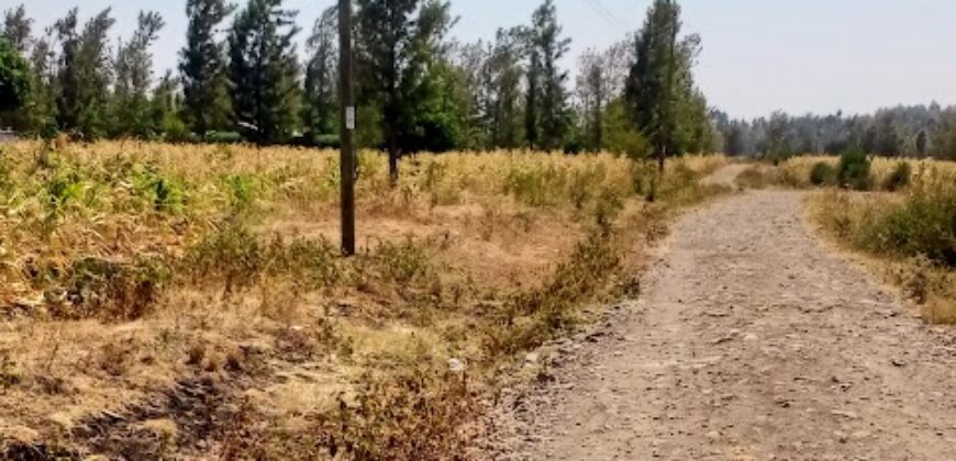 Prime Half Acre Lot for Sale in Kangangu